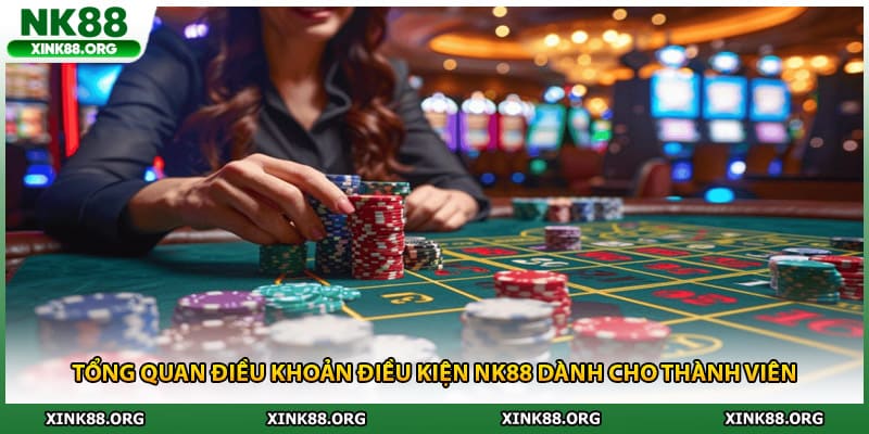 Tổng quan điều khoản điều kiện NK88 dành cho thành viên